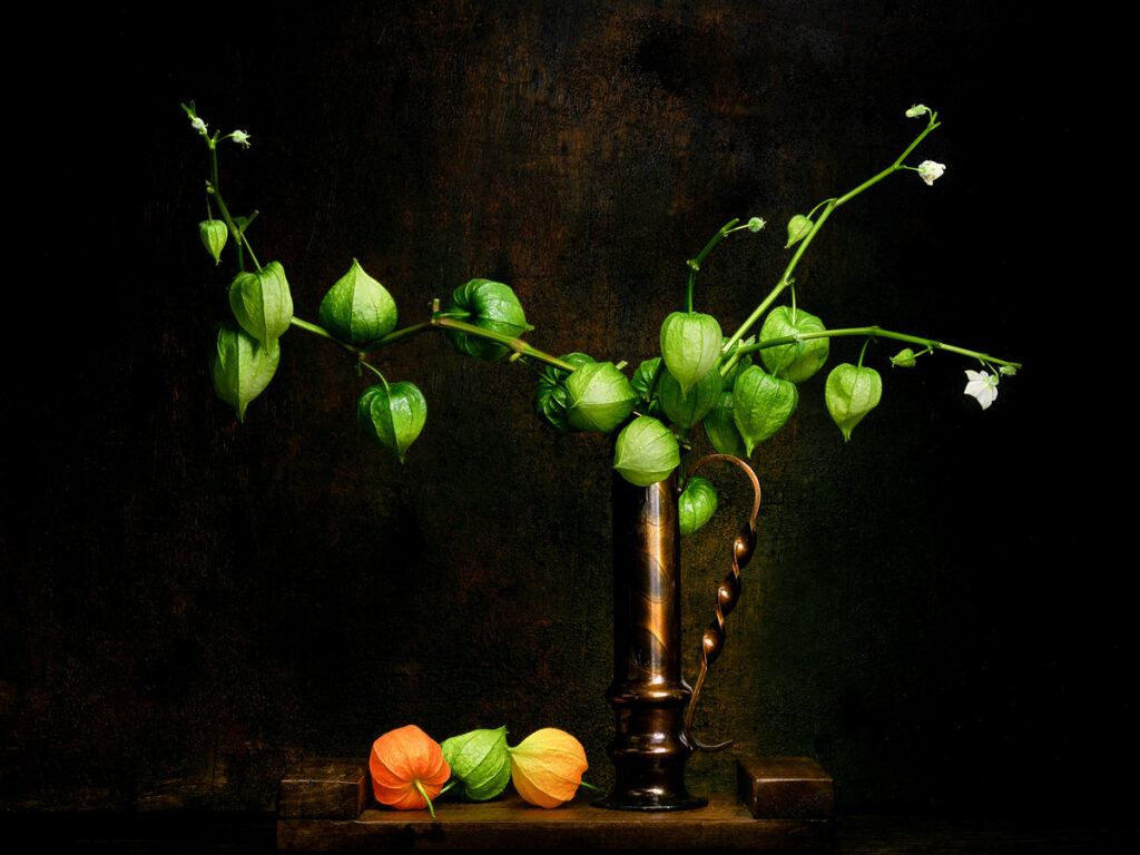 Helmut Hess (Erfurt): Physalis - Preis