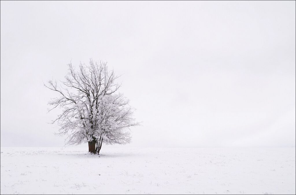 Foto: Thelaner-Theresa Wunderbare Stille