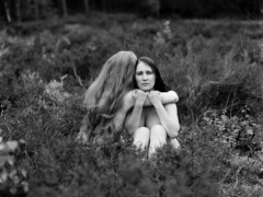 Stephan Wedekind (Jena): Together - Preis